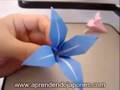 Ver video